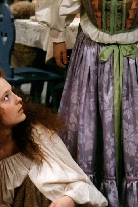 Dvanáct měsíčků