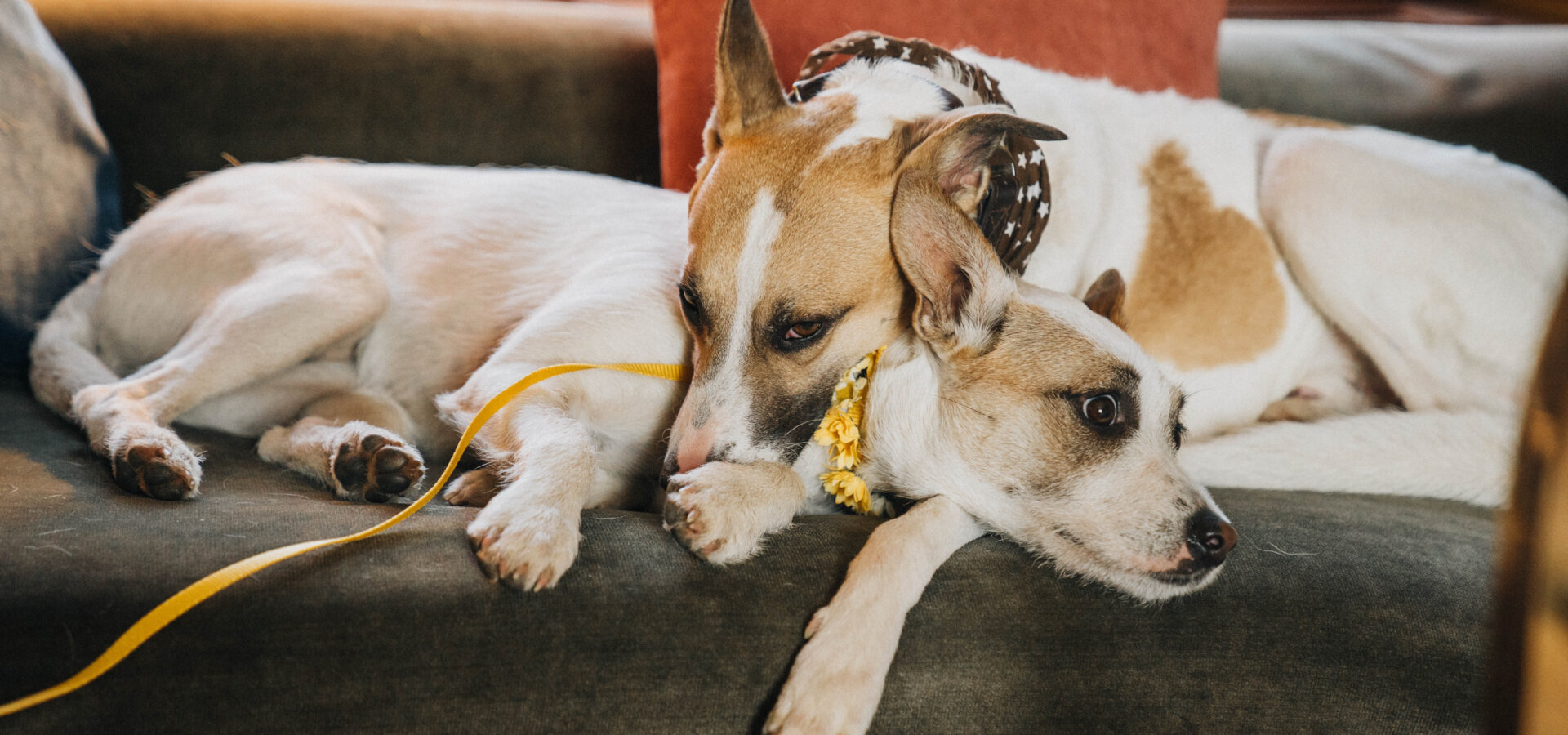 Gump – jsme dvojka