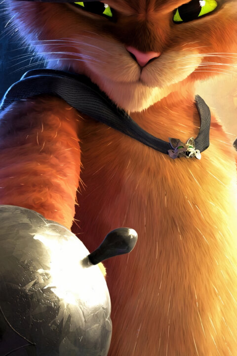 Kocour v botách: Poslední přání