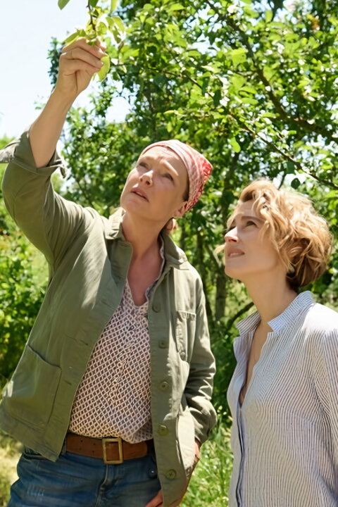 Láska v Čiernom lese