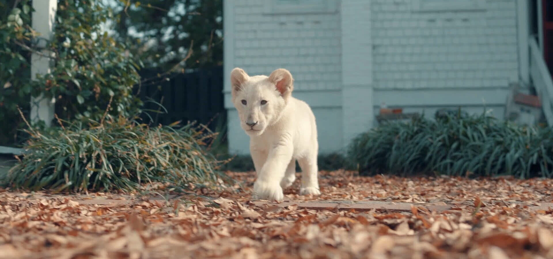 Lena a Sněhová koule