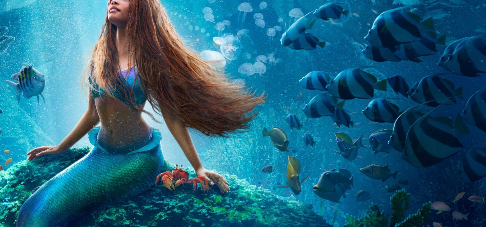 Malá mořská víla