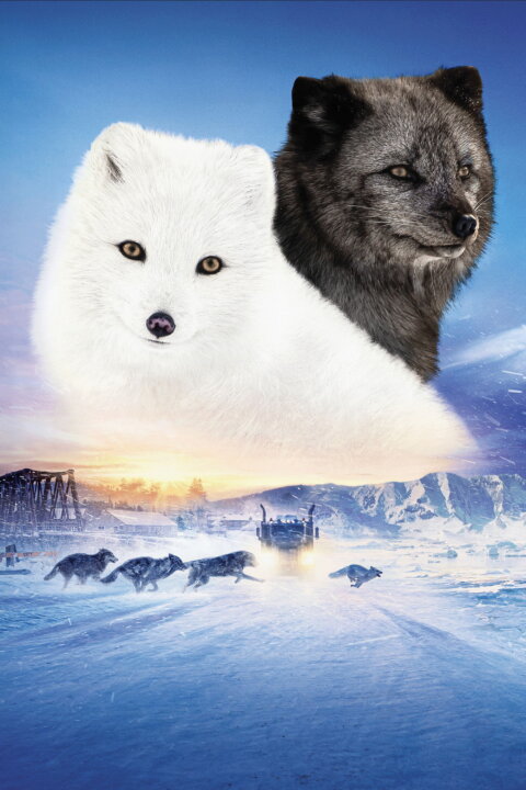 Max a Mája: Příběh lištiček