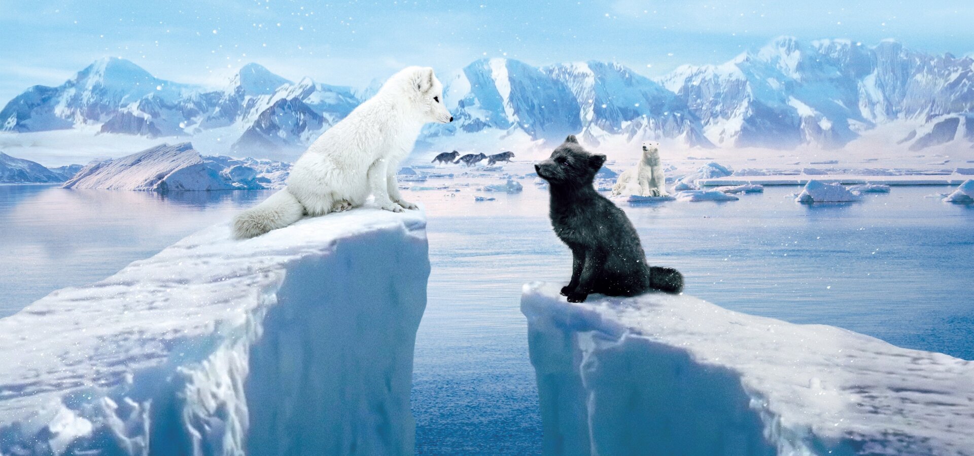 Max a Mája: Příběh lištiček