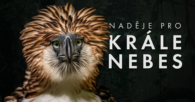 Naděje pro krále nebes