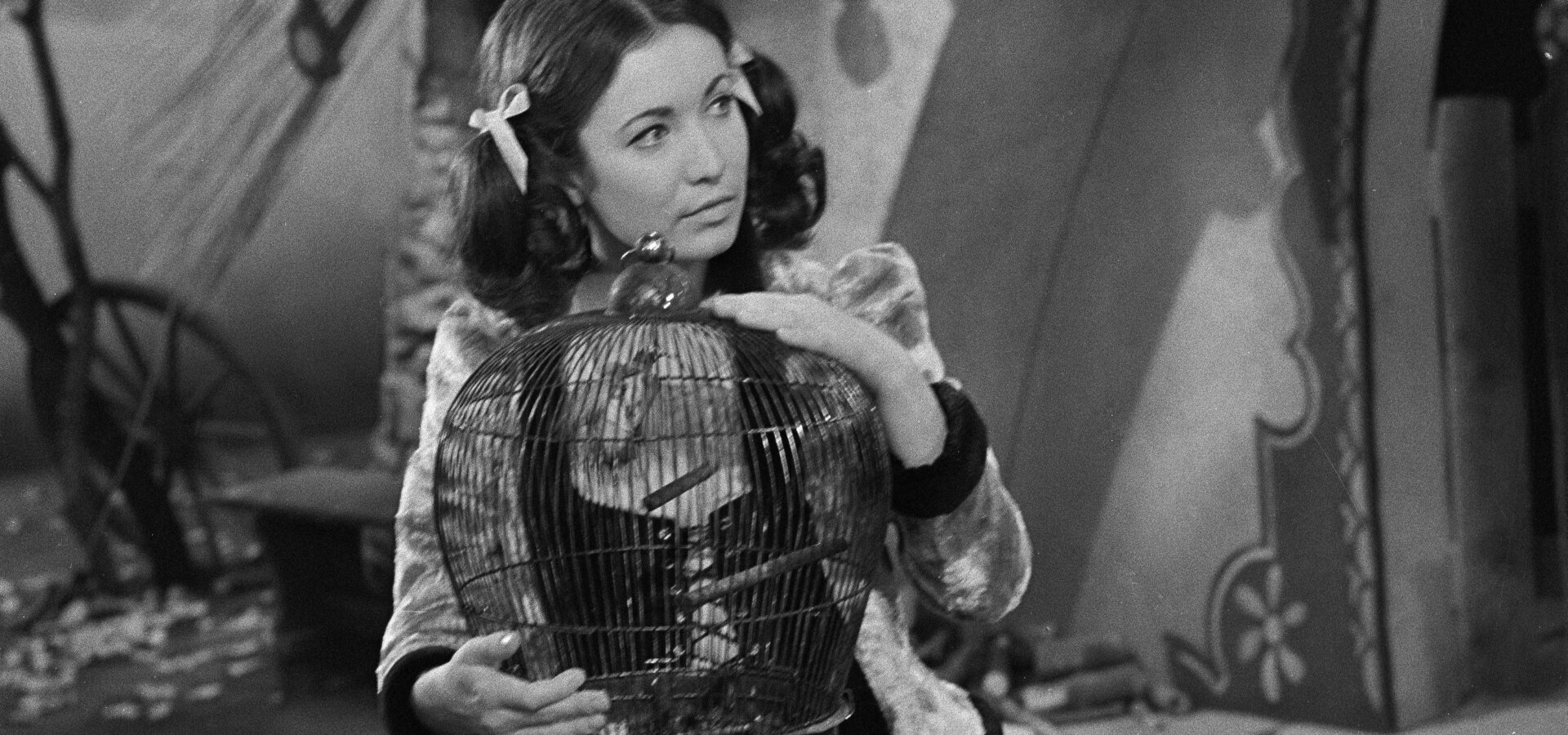 Nejsem chmýrko na bodláku