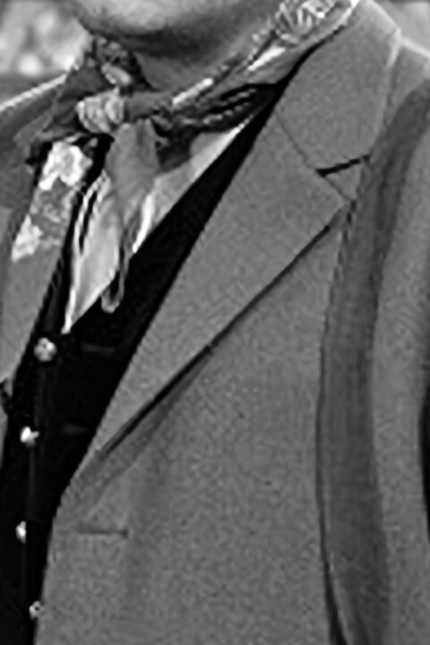 Nejsem chmýrko na bodláku