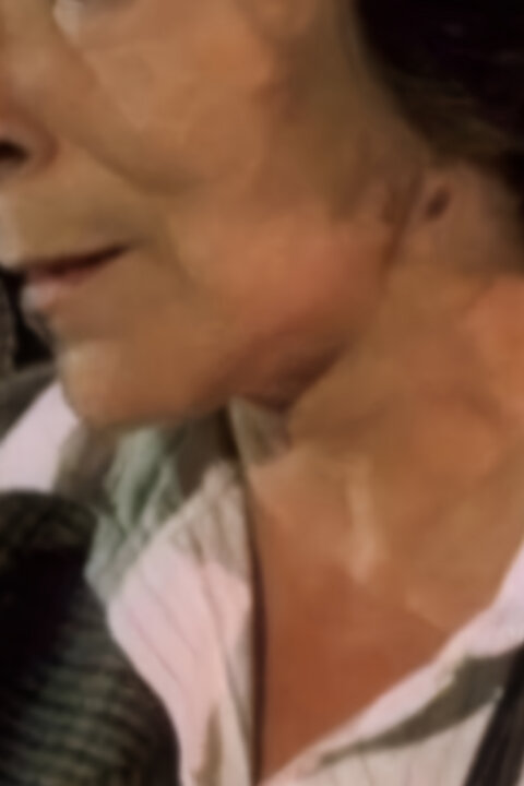 Nešťastná šťastná Hana Hegerová