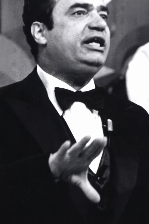 Nezničitelný Vladimír Menšík