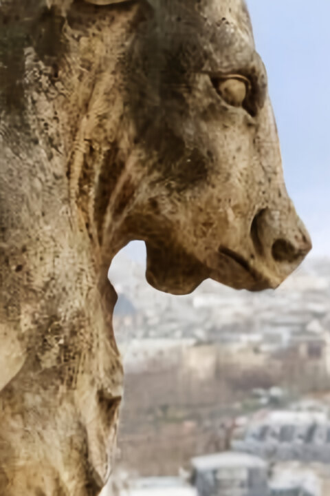 Notre-Dame: Co se skrývá v podzemí?