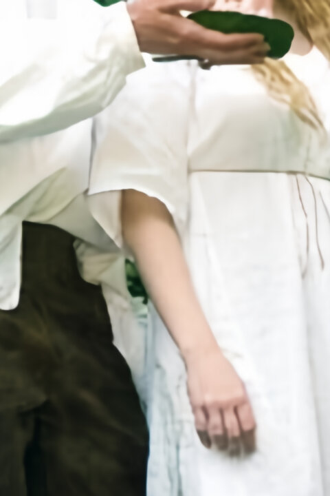 Rozprávky bratov Grimmovcov: Kráľ drozdia brada