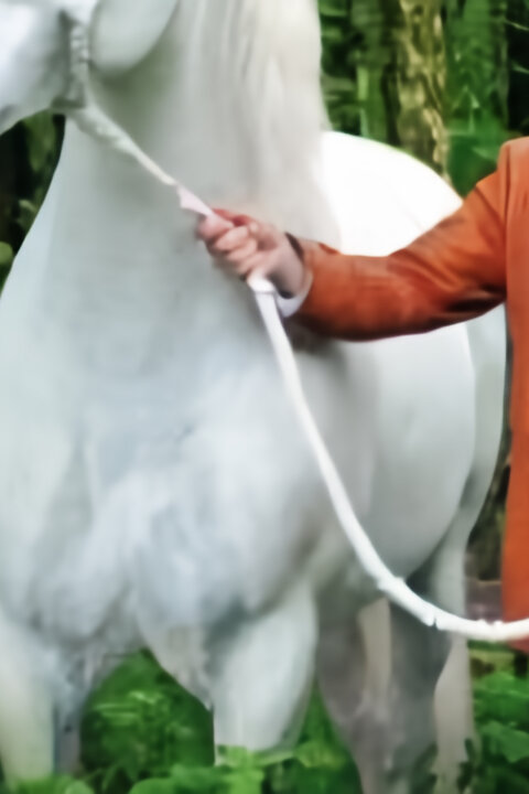 Rozprávky bratov Grimmovcov: Smelý krajčír