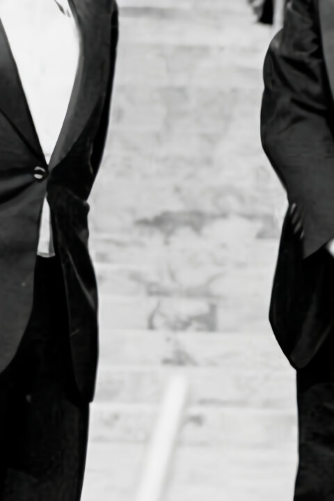 Silvestr hravý a dravý