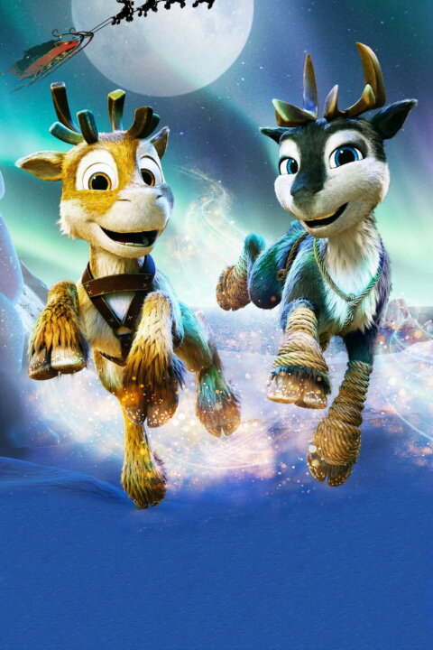 Sobík Niko: Cesta za polární září