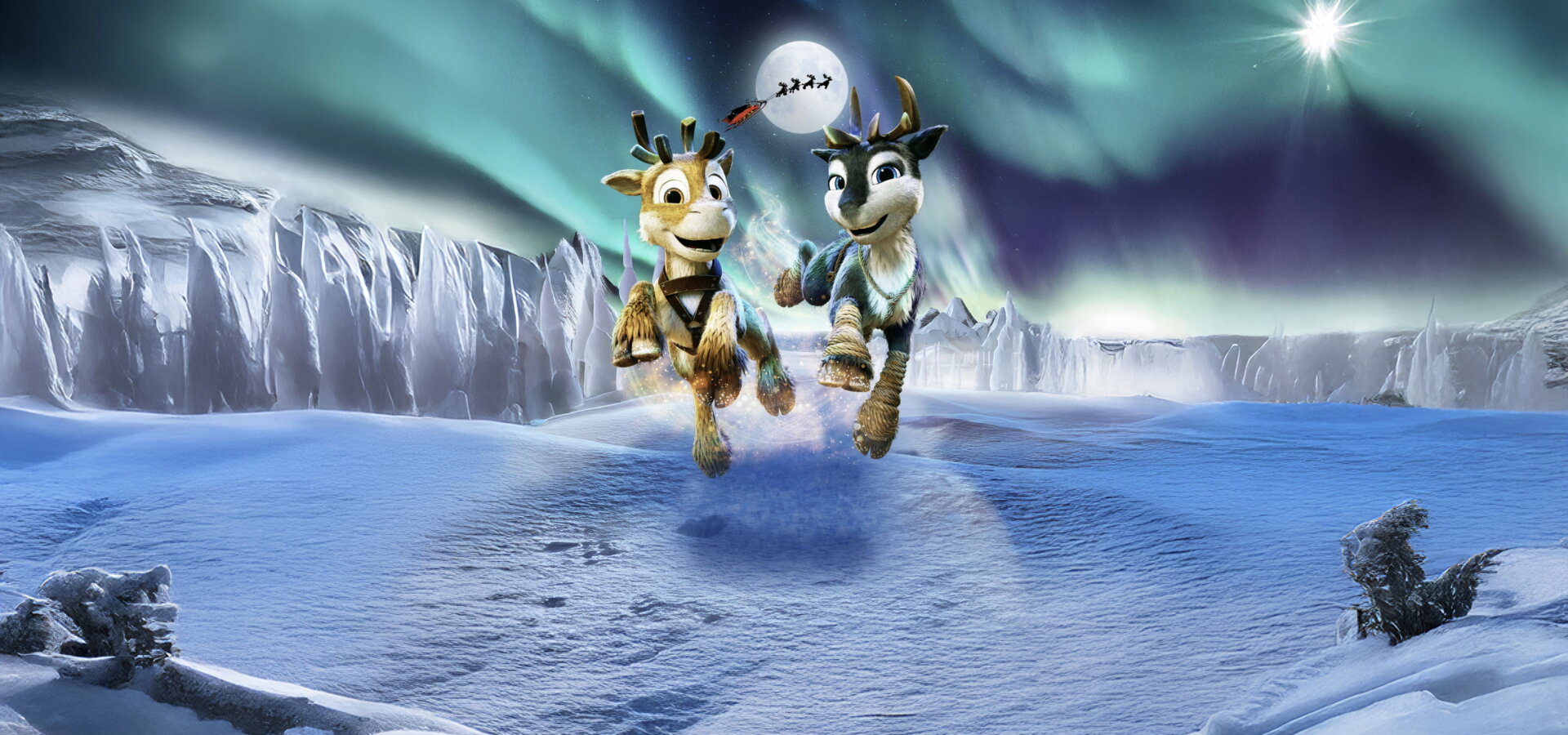 Sobík Niko: Cesta za polární září