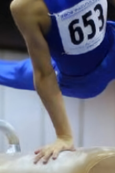 Sportovní gymnastika