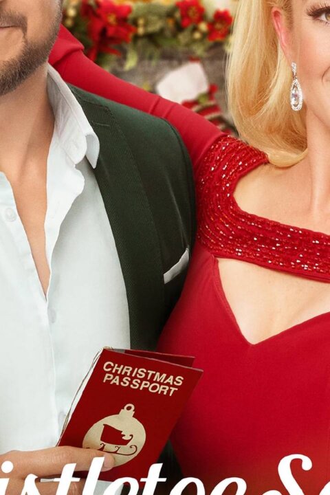 Tajemství vánočního jmelí