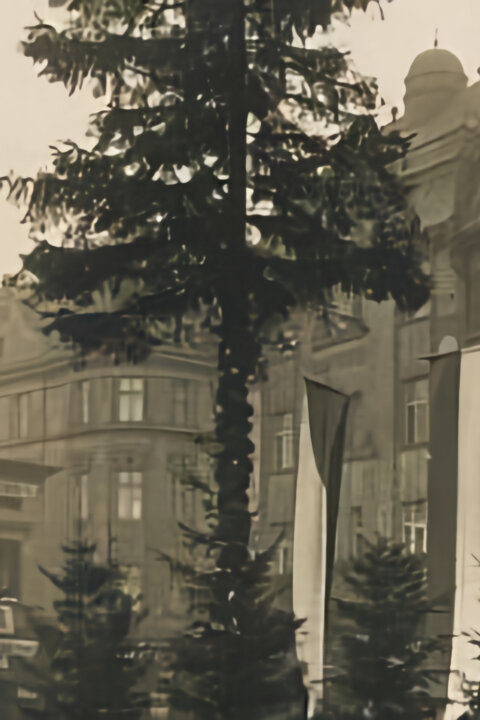 Vánoční strom republiky