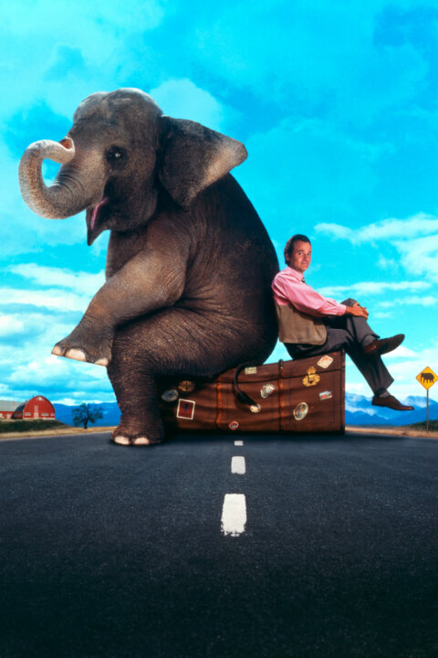 Větší než život