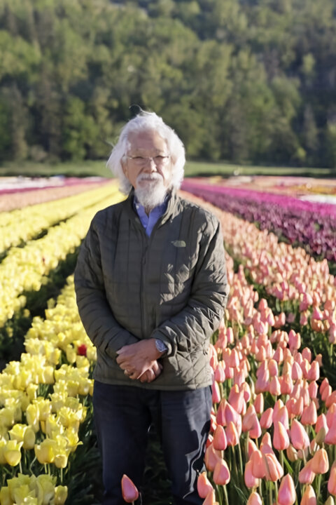 Barvy v našem životě