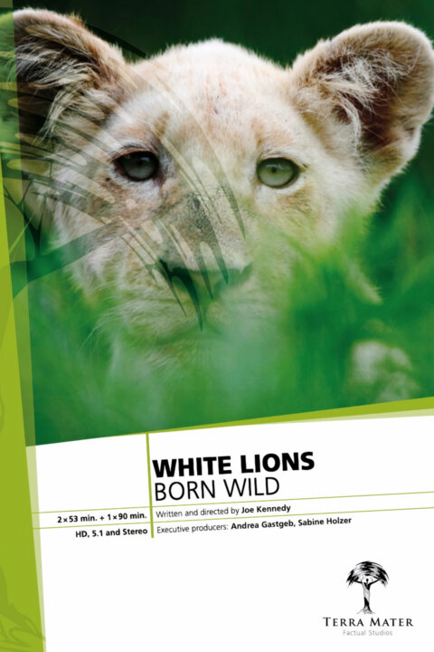 Bílí lvi: Narozeni v přírodě