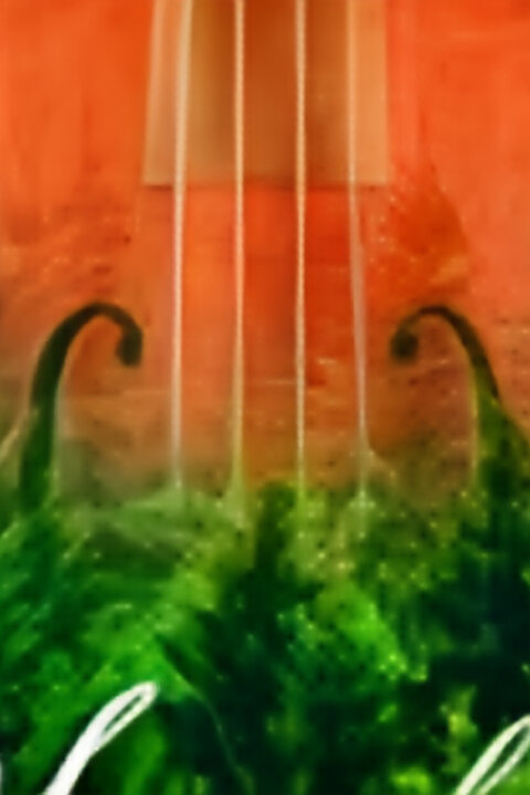 Dřevo pro Stradivariho