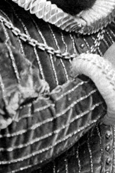 Enrico Caruso - věčný hlas