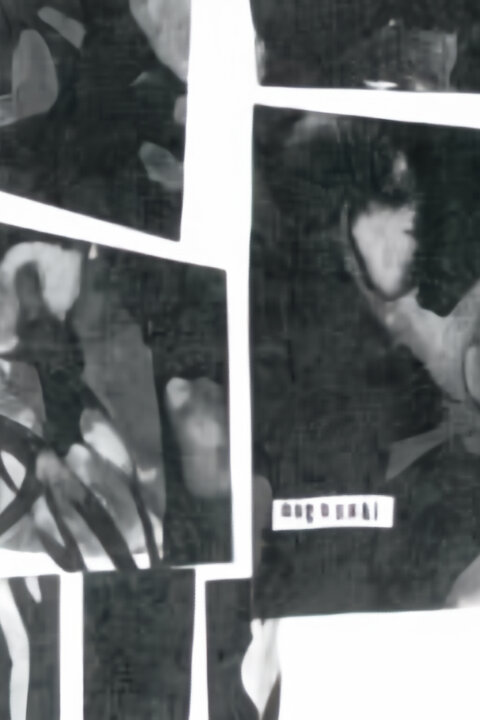 Každý týždeň sedem dní