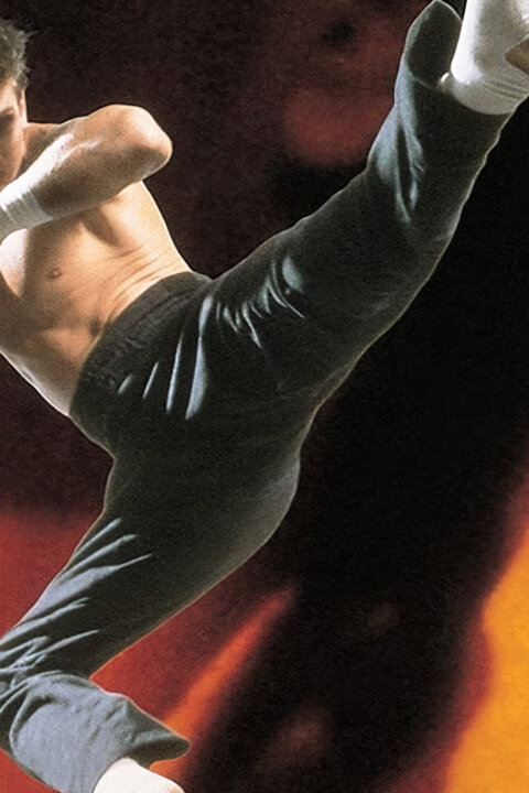 Kickboxer 4: Agresor