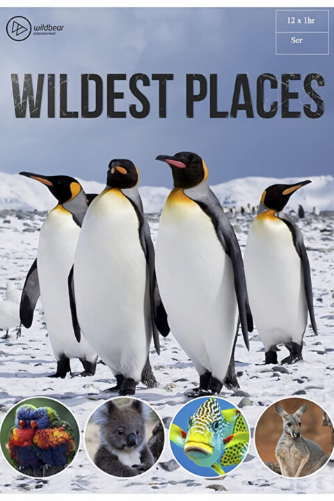 Nejdivočejší místa naší planety