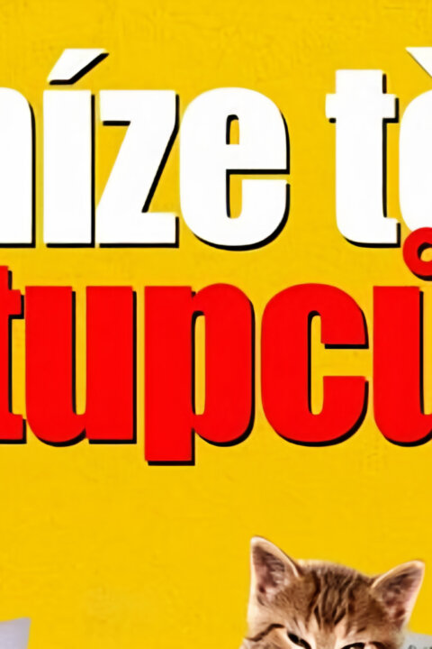 Peníze těch tupců