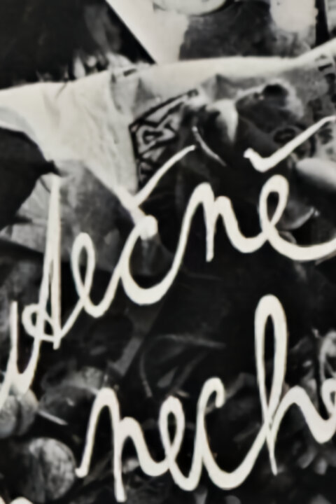 Písničky Divadla na Provázku