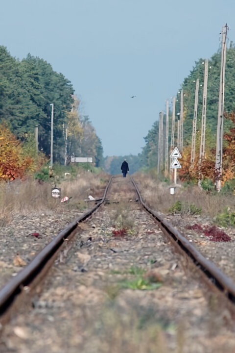 Sobibor: Anatomie vyhlazovacího tábora