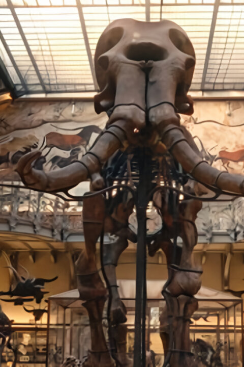 Vydražte si svého dinosaura