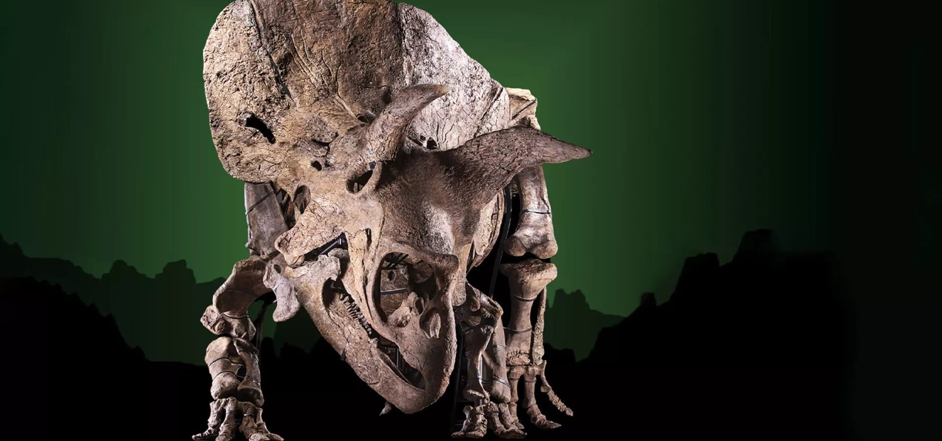 Vydražte si svého dinosaura