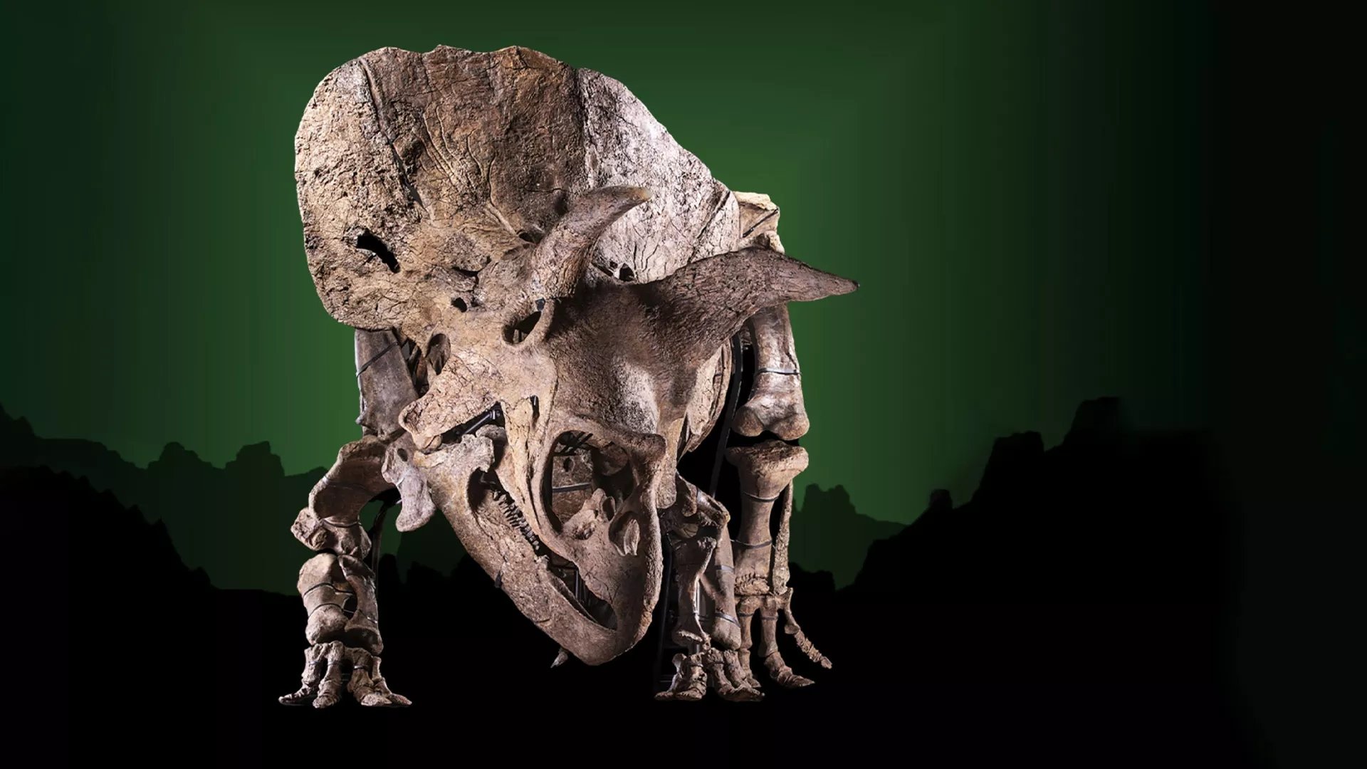 Vydražte si svého dinosaura