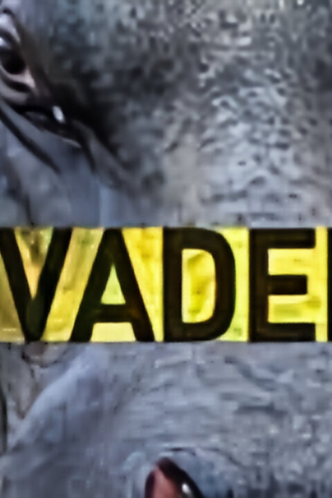 Zvířecí vetřelci