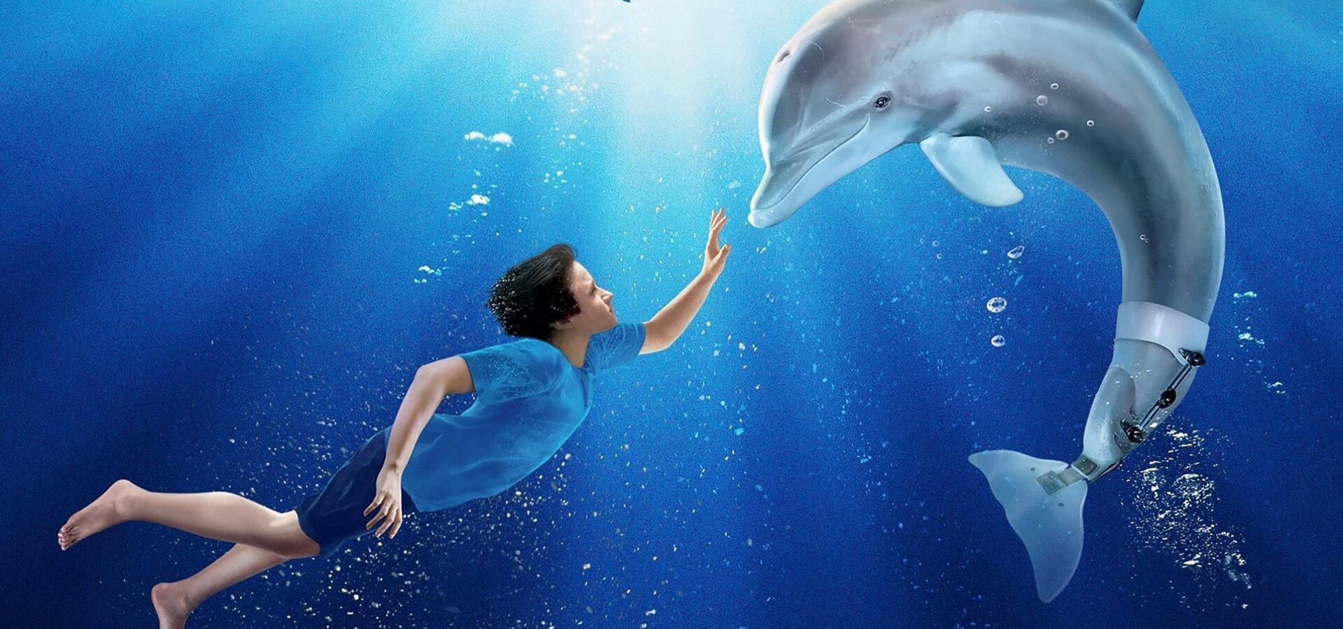 Můj přítel delfín