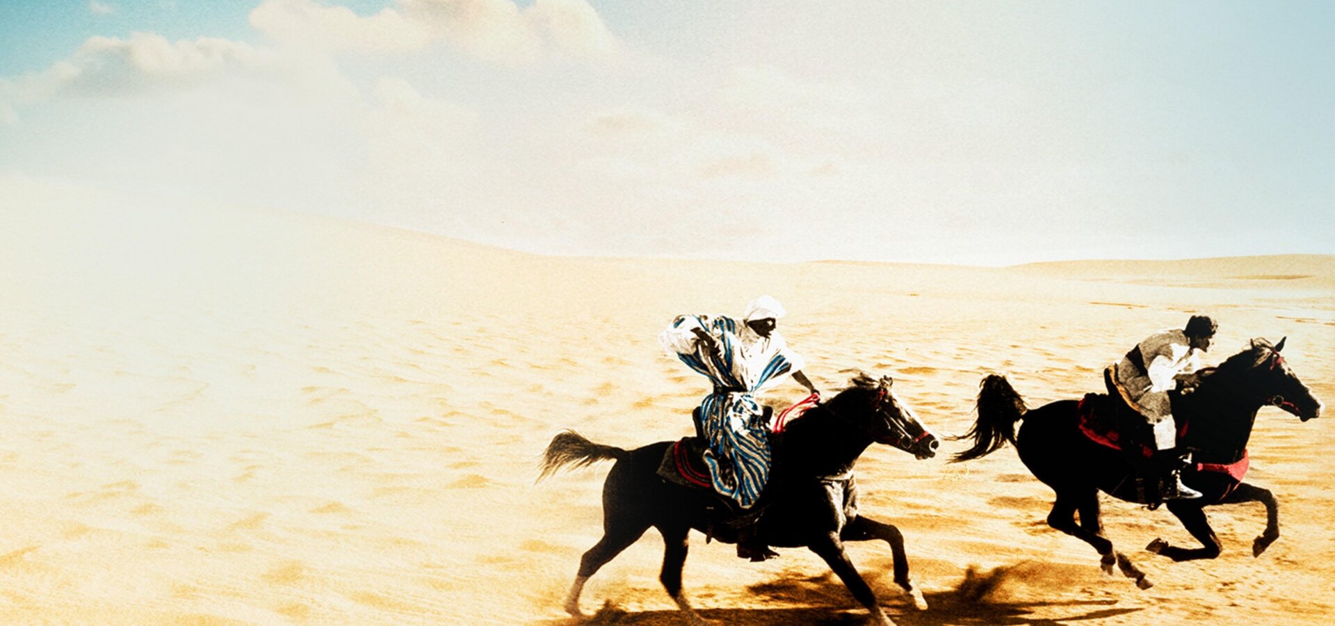 Návrat černého hřebce