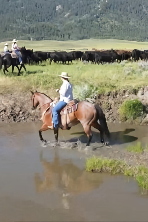 Střet o novou Ameriku