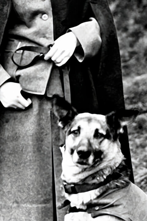 Ženy pod Hitlerovou vlajkou