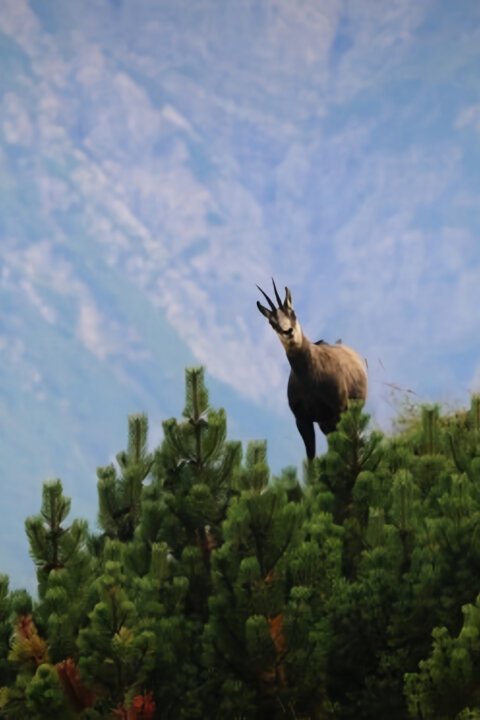 Arlberg: Divoký a světoznámý