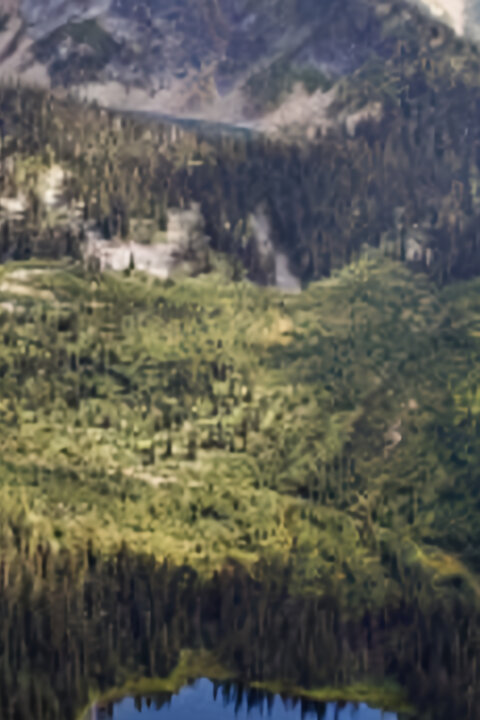 Darkwoods: Perla Britské Kolumbie