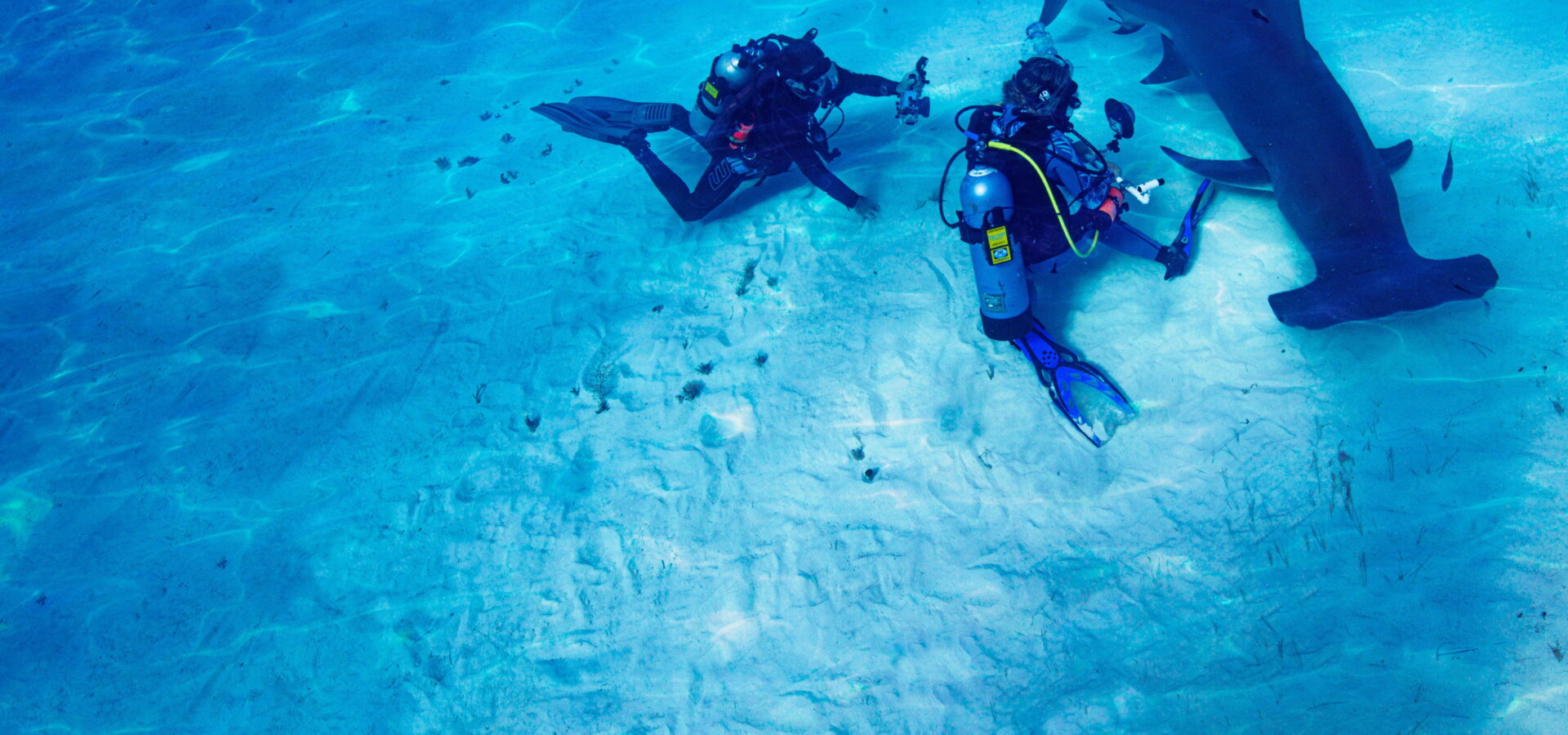 Hledání největšího kladivouna