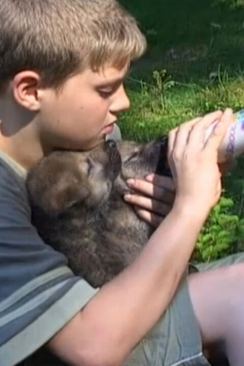 Kdo chce s vlky žíti