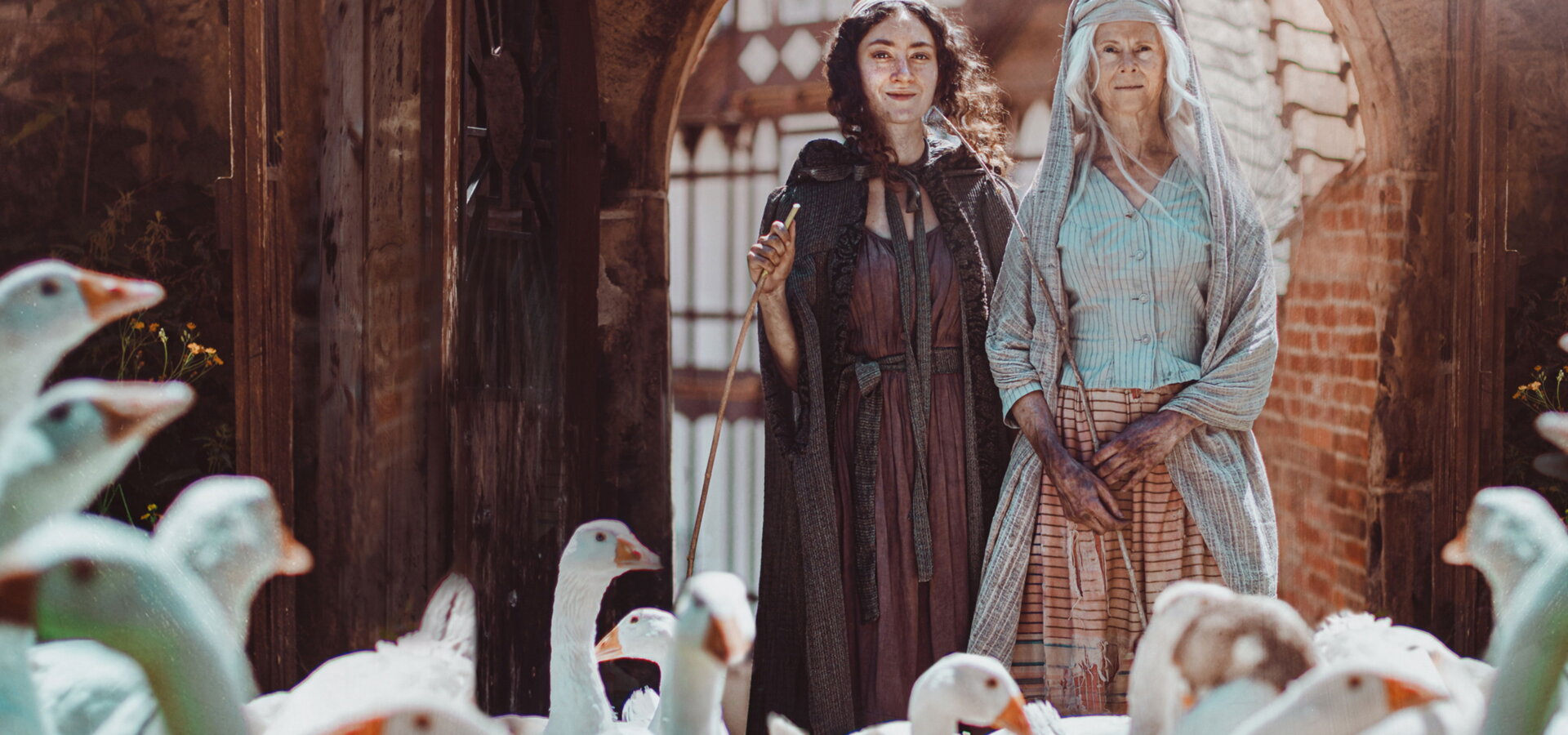 Rozprávky bratov Grimmovcov: Husia princezná