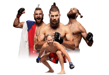 Jiří Procházka v UFC