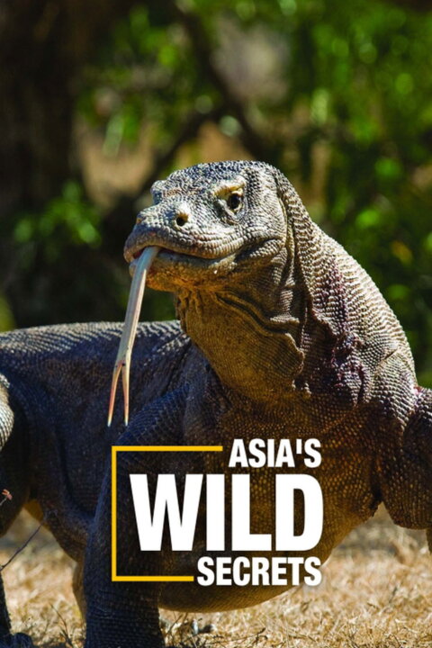 Tajemství asijské divočiny