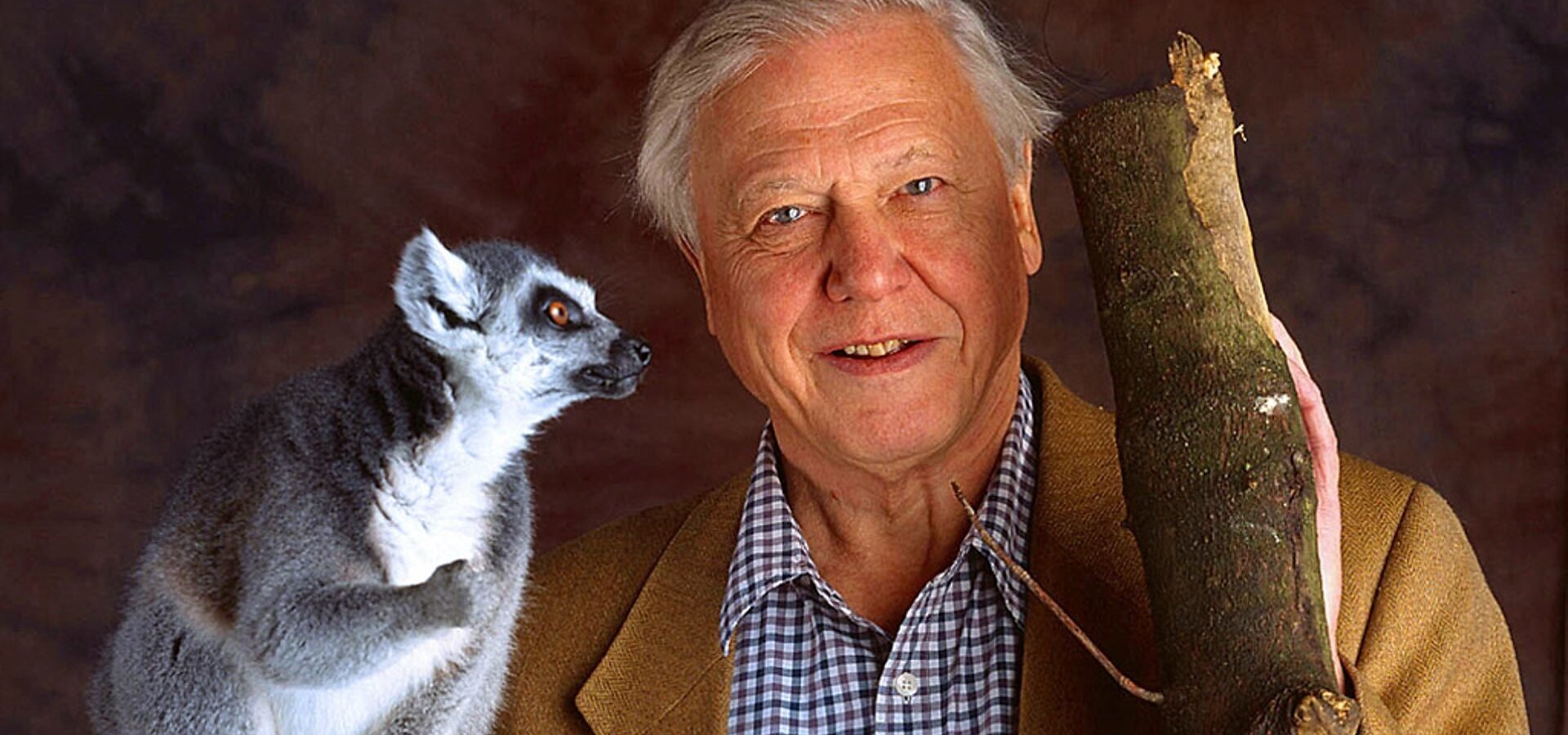 David Attenborough: Život savců