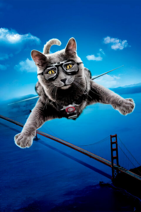 Jako kočky a psi: Pomsta prohnané Kitty